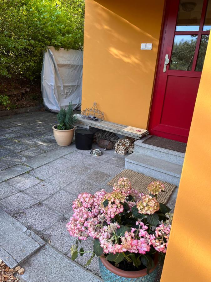 Kleines Harz-Chalet Neuwerk  Bagian luar foto