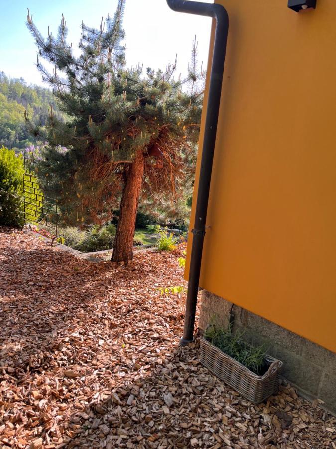 Kleines Harz-Chalet Neuwerk  Bagian luar foto
